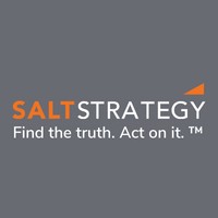 Salt Strategy logo - Similar company to Salt Strategy