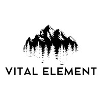 Vital Element logo - Similar company to Blenderbin