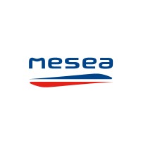 MESEA logo - Similar company to Viapix Systems