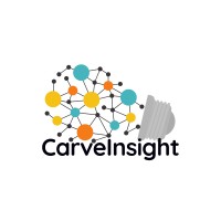 CarveInsight logo - Similar company to Edupaper