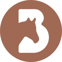 BASANNE logo - Similar company to Kitosphere