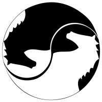 Saiw Capital 塞翁资本 logo - Similar company to Est Alpha