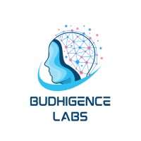 Budhigence Labs logo - Similar company to Quick Learn