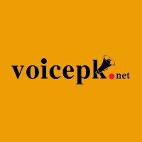 Voicepk.net logo - Similar company to South Asia Partnership Pakistan