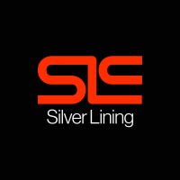 Silver Lining Consulting logo - Similar company to Pmi Integrity Properties