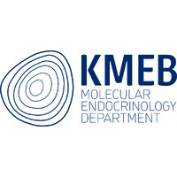 KMEB Lab logo - Similar company to Brick_Lab