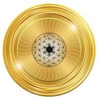 Amanyser logo - Similar company to Smart Mentor Academia