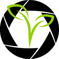 Buzzard Cameras Limited