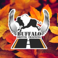 Buffalo Driver Training logo - Similar company to Transfer Expedite
