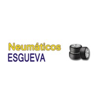 Neumáticos Esgueva logo - Similar company to Neumaticos La Negrilla