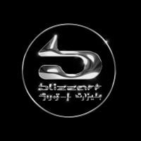 Blizzart logo - Similar company to Placebo Studio