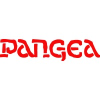 PANGEA Corporation logo - Similar company to Bytevolt