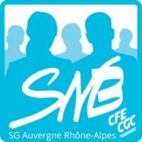 SNB SG AuRA logo - Similar company to Snbsg Idf Sud