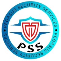 Pegasus Cyber Security logo - Similar company to Bayson