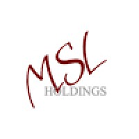 Msl Holdings