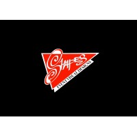 Shapes visual designs logo - Similar company to Christmas Creations Ltd