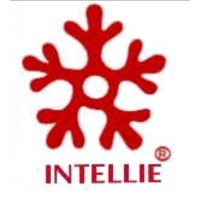 INTELLIE logo - Similar company to Intelli-Net