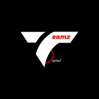 Teamz logo - Similar company to Sonex
