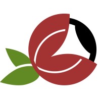 Intelligence Guarana logo - Similar company to Pragm