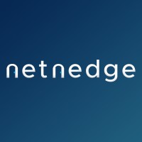 Netnedge logo - Similar company to Beenode.Io