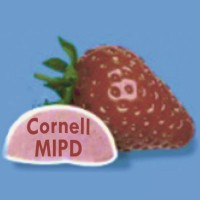 Cornell MARS & IFTSA Product Development Team logo - Similar company to Sala