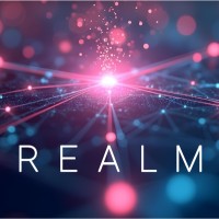 REALM logo - Similar company to Dx Compass