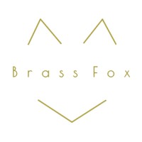 Brass Fox Consulting, Llc