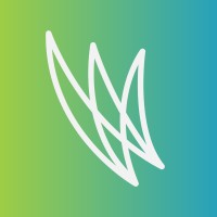 Foundations in Learning, developer of WordFlight logo - Similar company to Amplifier Strategies