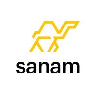 Sanam logo - Similar company to Rowad Systems For Information Technology