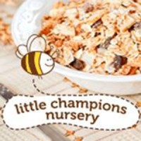 Little Champions Nursery logo - Similar company to Royal Kids Nursery