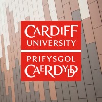Cardiff Business School logo - Similar company to Backwell School