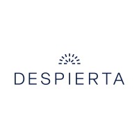 Despierta logo - Similar company to Ready