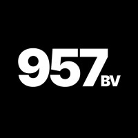 957 bv logo - Similar company to 697 Thz