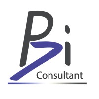 PBI CONSULTANT logo - Similar company to Groupe A4
