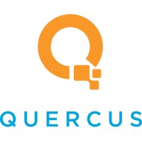 Quercus IT Inc. logo - Similar company to I.T. Organizers Inc.