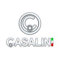 CASALINI S.R.L. logo - Similar company to Ford Mirani