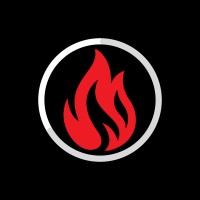 Digital Fire Creative - Mobile Apps & Custom Websites 🔥 logo - Similar company to Digisquid