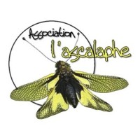 Association l'ascalaphe logo - Similar company to Paca Pour Demain