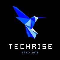 Techrise logo - Similar company to Amnioalert