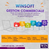 WINSOFT logo - Similar company to Cybernex