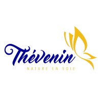 THEVENIN logo - Similar company to Vp-Num