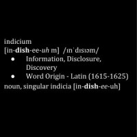 Indicium LLC logo - Similar company to Gdprsimple