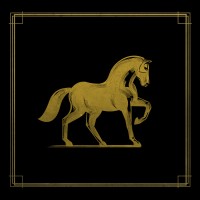Warhorse Wealth Advisors logo - Similar company to Warhorse Venture Partners