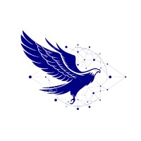 Eagle Codes logo - Similar company to Afrismash Technologies Ltd