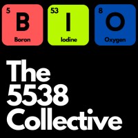The 5538 Collective logo - Similar company to Fly With Us