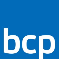 BCP Business Consulting Partner AG logo - Similar company to Realwwz