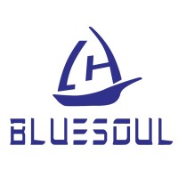 BlueSoul logo - Similar company to Global Market Insights Report
