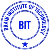 Brain Institute of Technology logo - Similar company to Somali Networking Academy