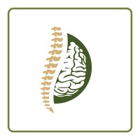 Cortical Medicolegal logo - Similar company to Australian Medicolegal College
