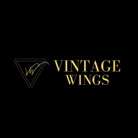 VINTAGE WINGS logo - Similar company to Vhs Professional Services Private Limited